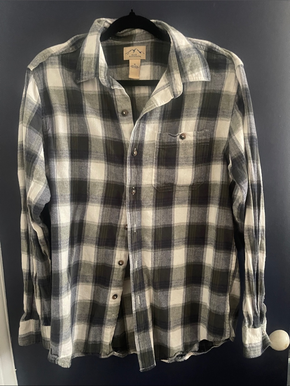 Men's Blue & Green Plaid Button-Down Shirt